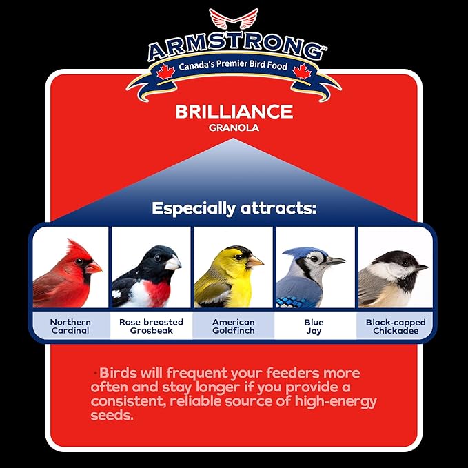 Armstrong Wild Bird Food Royal Jubilee Brilliance Granola Stack, 4.94oz (Pack of 4) High-Energy Treat with Black Oil Sunflower, Safflower & Peanuts - Ideal for Granola Stack Feeders