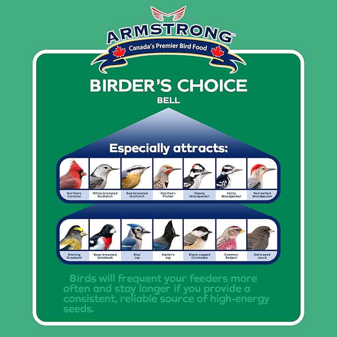 Armstrong Wild Bird Food Birder's Choice Bell, 12 Ounces - Premium High-Energy Treat for Year-Round Songbird Feeding - Easy-to-Hang Suet Alternative
