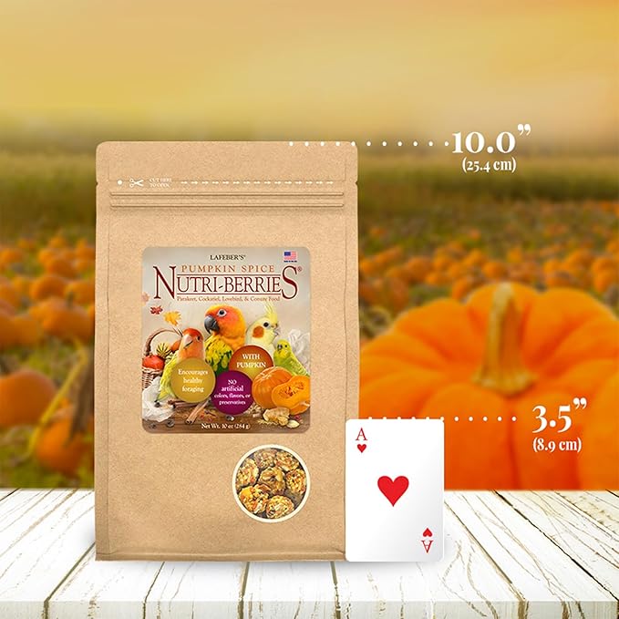 LAFEBER'S Pumpkin Spice Nutri-Berries Pet Bird Food, Made with Non-GMO and Human-Grade Ingredients, 10 oz Pack of 2 (Small Birds)