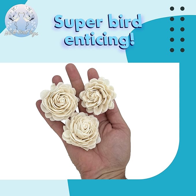 5177 Pk3 Medium Sola Chrysanthemum - Handmade beautiful soft sola wood flowers, Delicate chewable petals, Lightweight, Stuff treats inside, Great for Cockatiels Conures Budgies Parrotlets and more