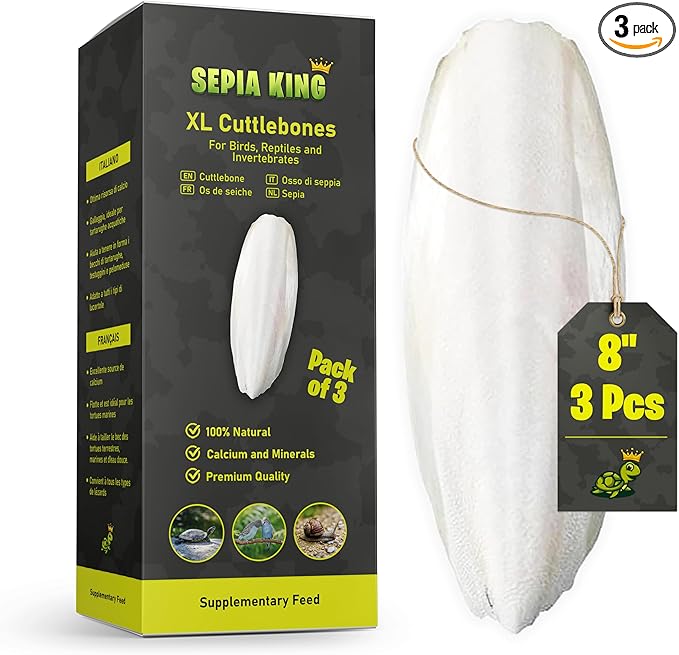Sepia King - Extra Large - 100% Natural Calcium Supplement - Premium Cuttlebone Perfect for Birds, Tortoises, Snails, Reptiles - Pack of 3
