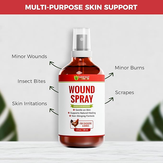 SHEVAT VITAMINS Silver Wound Spray for Chickens & Birds – Gentle Skin Relief for Scrapes, Cuts, Rashes & Irritation – Non-Stinging, Alcohol-Free, Safe for Feathers & Skin – 120ml (4oz)