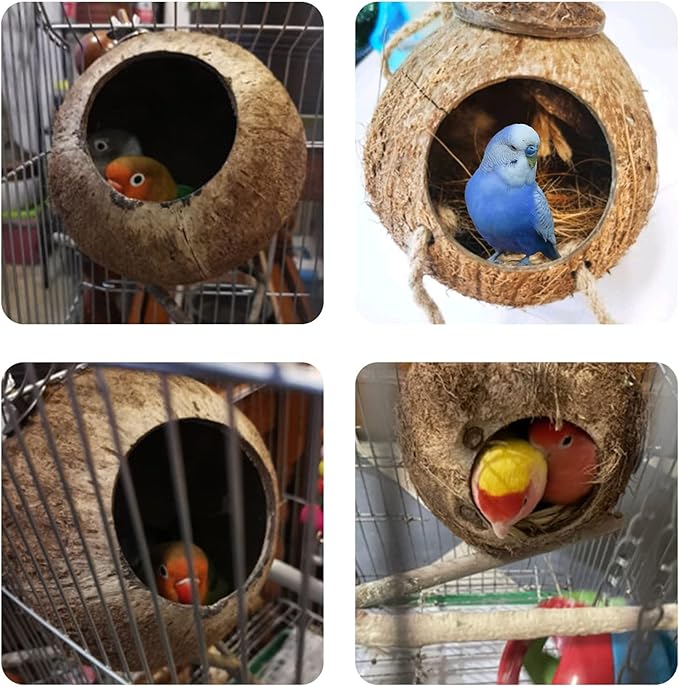 Tfwadmx Natural Coconut Hide with Ladder Perches Hanging Bird House Toy for Cage Parrot Breeding Nest for Gecko Parakeet Lovebird Finch Hamster