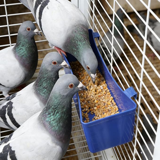 10 Pack Pigeon Plastic Feeder Bird Food Cup Water Bowl for Small Bird Pigeon Parrot Cockatiel Parakeet Conure Finch Chicken Quail Dove (Blue)