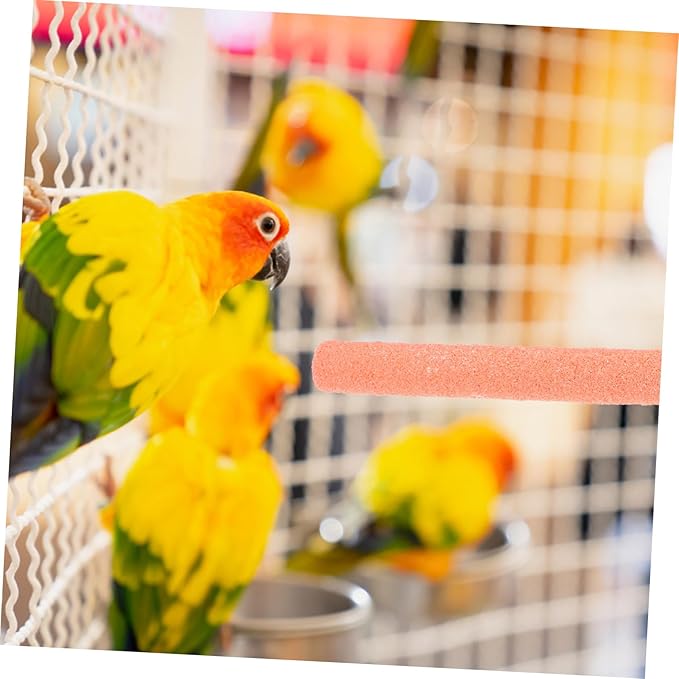 Milisten 1set Bird Intelligence Growth Cage Toy Rotate Wheel Feeder for Foraging Interactive Food Toy for Parrots Cockatiels Random Color Transparent Frosted