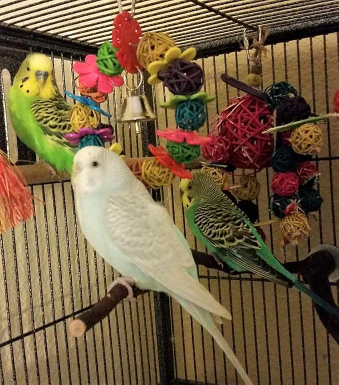 Super Bird Creations SB759 Daisy Ring Bird Toy - for Small Bird Sizes 6" x 4" - Parrotlets, Parakeets, Cockatiels, and Lovebirds - Colorful and Interactive Bird Toy - Enrichment & Boredom Relief Toy