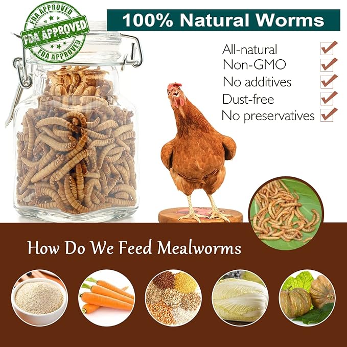 Non-GMO High-Protein Large Dried Mealworms for Chickens, Natural Grubs and Poultry Treats as Chicken Feed,Duck Food, Wild Birds Seed,Fish Food,Reptile Food,Amphibian Food(Mealworms-2LB)