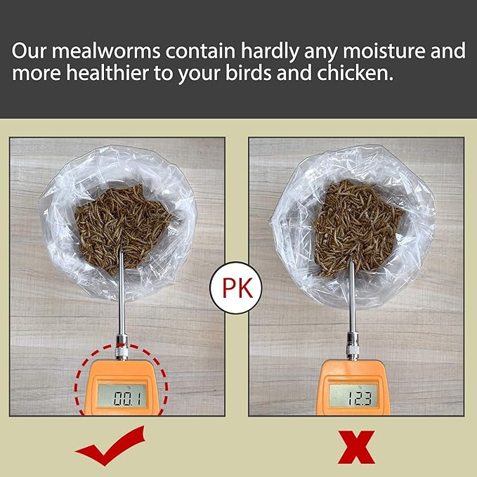 Non-GMO Dried Mealworms 11LB,100% Natural Large Size No Moisture,Treats for Birds Chickens Hedgehog Hamster Fish Reptile Turtles