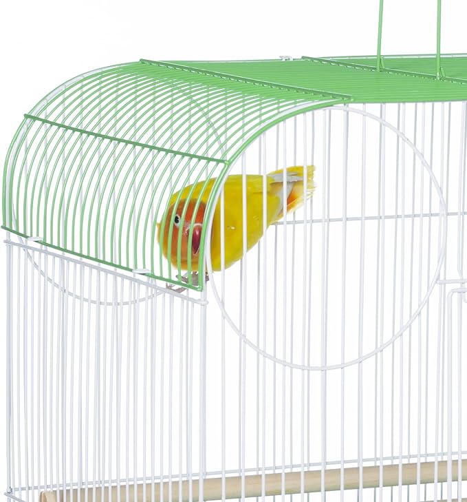 Prevue Pet Products South Beach Flat Top Bird Cage - Ideal for Finches, Canaries, Budgies, and Similarly Sized Birds, Minimal Assembly, Made of Powder-Coated Steel Wire Mesh - Green & White
