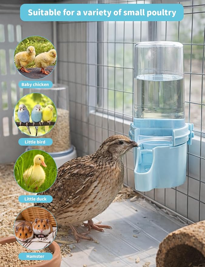 Quail Chick Waterer with Anti-Drowning Shallow Tray, 16.6 fl oz Automatic Gravity Button Quail Waterer, Hanging or Free-Standing Bird Water Dispenser for Wire Mesh Cages and Brooders (Blue)