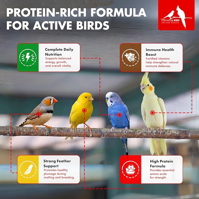 Morning Bird Miracle Meal 1.5 lbs – Vitamin Fortified Soft Bird Food for Birds - All-Natural No Artificial Dyes, Flavors or preservatives - Supports Feather Strength, Breeding & Overall Wellness