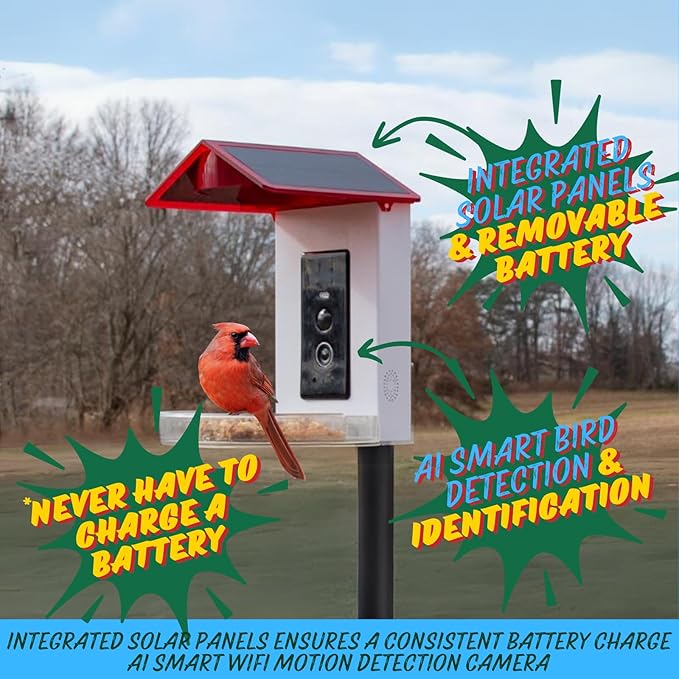 JCS Wildlife Smart 2-in-1 Hummingbird Feeder with Camera, Solar Roof, AI Bird Identification, 1080 HD Live Video, Automatically Capture Videos and Images, Great Gift for Birders