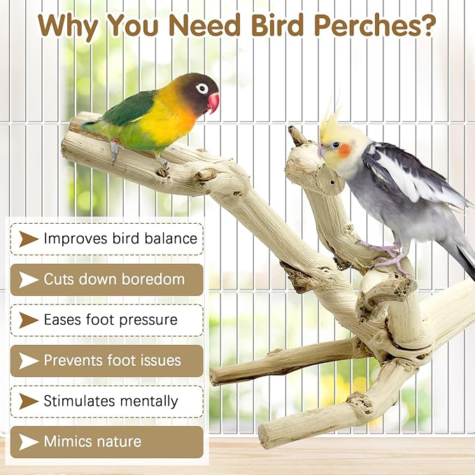 kathson Bird Perch Stand 10"-12" Nature Wood Stand Toy Parrot Cage Branch Paw Grinding Fork Parakeet Platform for Parakeets Cockatiels Conures Finches Love Birds（Small）