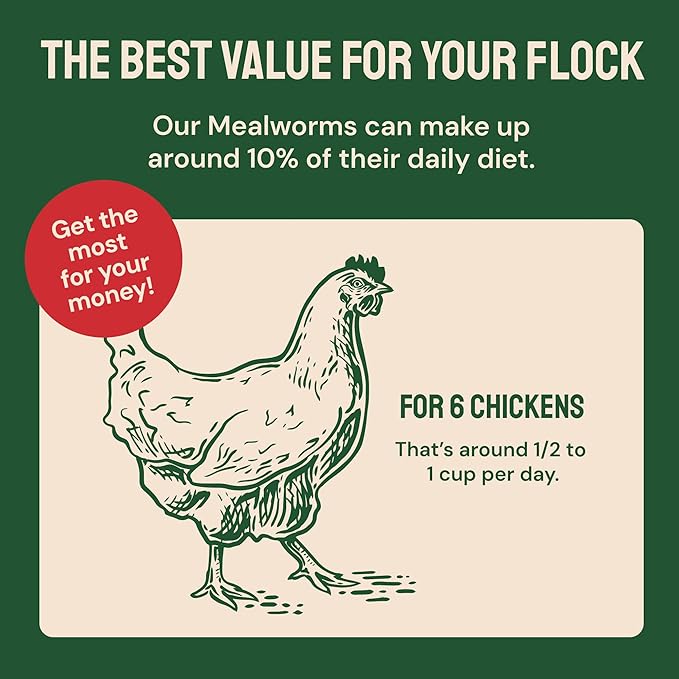 Hatortempt Spiced Bulk Dried Mealworms - 10 Lb Bag - Dried Mealworms for Chickens & Ducks - Chicken Food Coated with Chili Mix Digestion Supplement