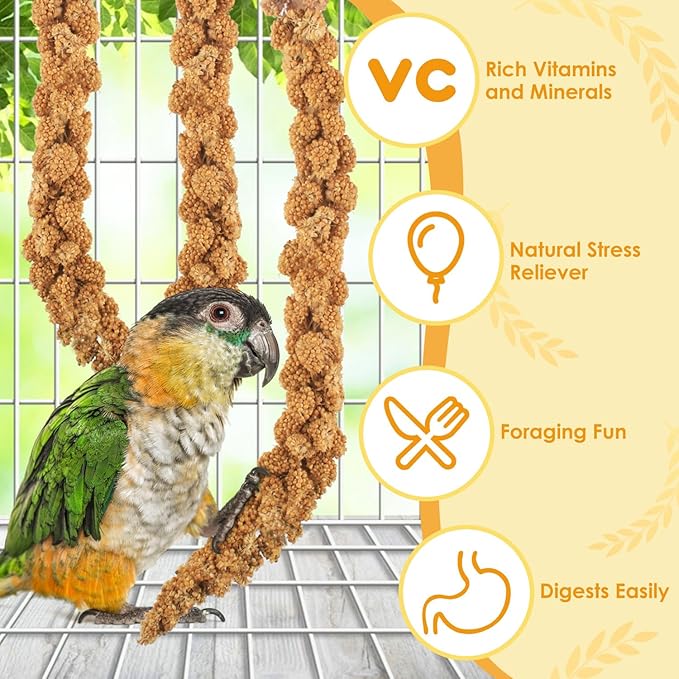 KATUMO 1.1LB Spray Millet Treat for Birds, Natual Sun-Dried Bird Millet Parrot Food for Parakeet Budgie Cockatiel Finches Lovebird Conure Parrots Hamster