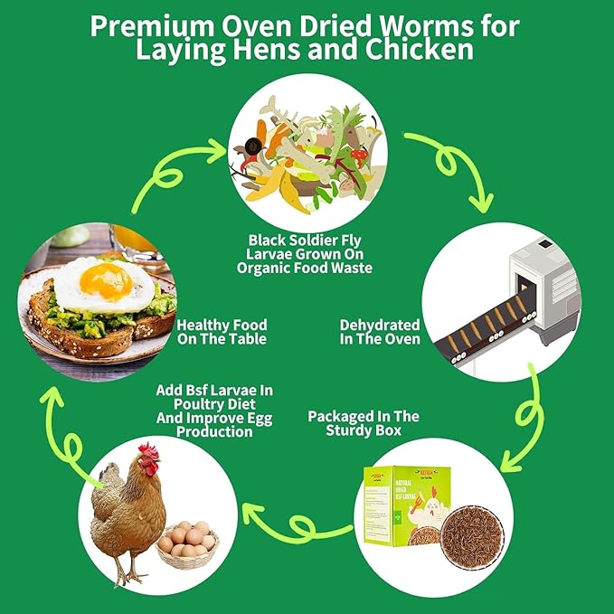 KAYHEN Dried Black Soldier Fly Larvae 20LB Non-GMO BSF Larvae for Chickens More Calcium Than Mealworms High-Protein Chickens Treats for Layer Hens Wild Birds Ducks