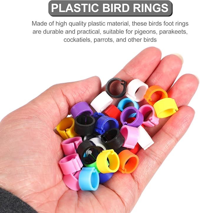 EXCEART Birdies Pigeon Foot Ring 100Pcs Plastic Bird Leg Band Rings Multi-Color Leg Rings Bird Clips Ankle Band Racing Pigeon Bands for Pigeon Dove Chicks Bantam