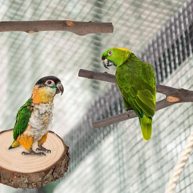 36 PCS Bird Perches Stand Toy, Natural Wood Parrot Perch Stand Bird Cage Branches Platform Accessories for Parakeets Cockatiels Conures Macaws Finches Love Birds