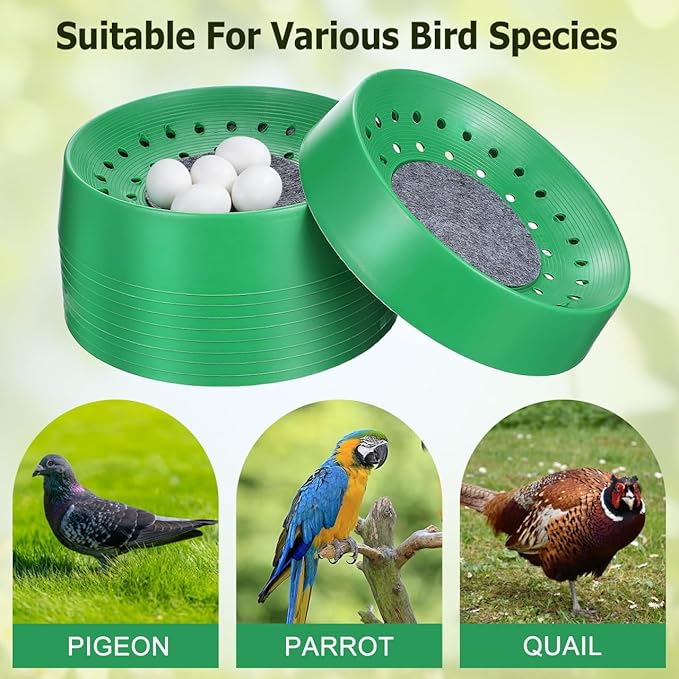 Balacoo 10 Pcs Pigeon Nest Bowl, Durable Plastic Pigeon Nesting Box with Comfort Pad, Breathable Washable Bird Breeding Hatching Bowl for Parakeet Quails Doves and Small Birds (Green)