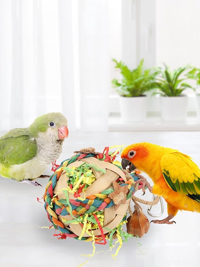 Wontee Bird Toys Colorful Shredding Crinkles Foraging Toys Natural Dried Fruits Chew for Cockatiels Conures Parakeets Budgies Senegal (2 Packs)