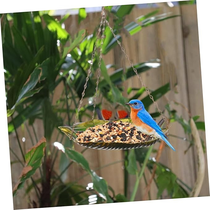 Abaodam Outdoor Garden Hanging Bird Food Container Bird Feeder Excellent Craftsmanship for Attracting Birds