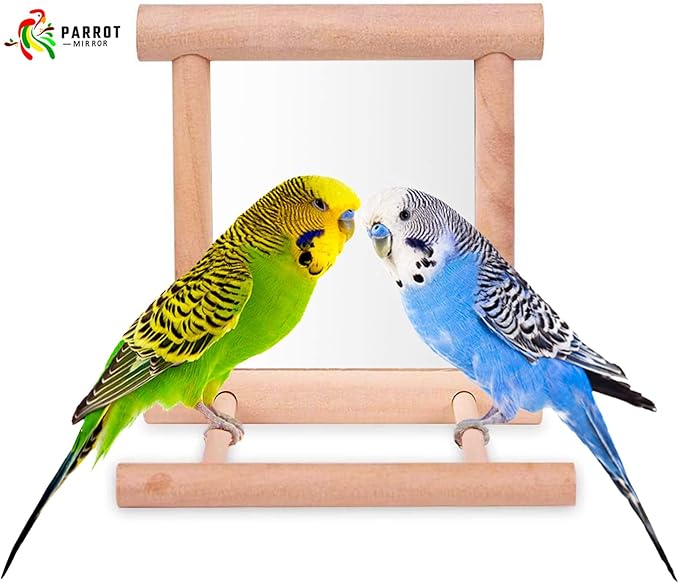 Blessed Family 2 Piece Bird Parakeet Mirror for Cage,Parrot Perch Stand,Wooden Hummingbird Swing Toy,Parakeet Accessories for Cockatiels Conure Finch Lovebird Canary African Grey Macaw