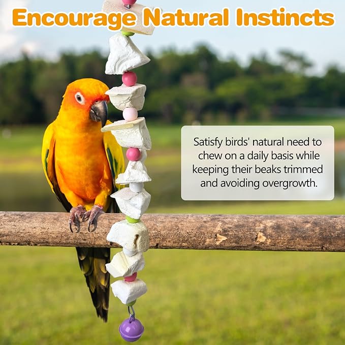 PINVNBY 2 Pack Bird Toys with Cuttlebone Calcium Parakeet Chewing Toy Hanging Bird Beak Grinding Stone Cage Accessories for Parrot Budgie Lovebird Cockatiel (Small)