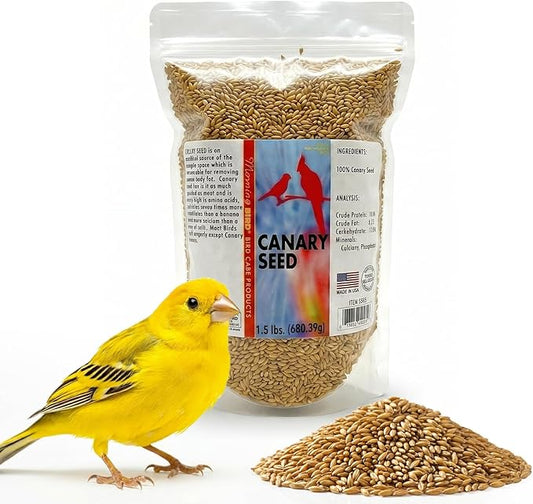 Morning Bird Canary Seed 1.5 lbs – Nutrient-Rich Bird Seed – Creamy Golden Grain Powerhouse - Supports Healthy Feathers & Strong Bones – Natural Daily Nutrition for All Bird Types