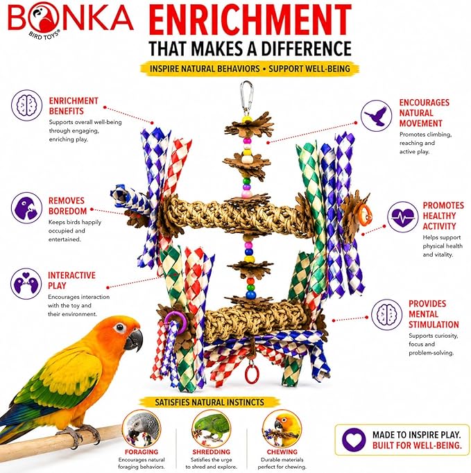 Bonka Bird Toys 1241 Double Helix 11" High by 9" Wide Parrot Toy, Amazon, African Grey, Conure, and Similar Sized Birds