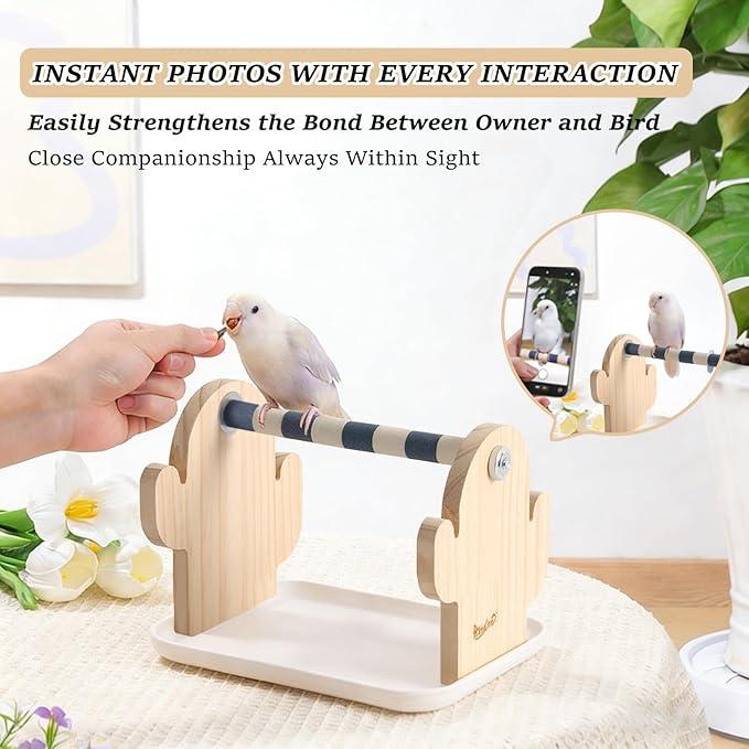 Wood Bird Perches Stand，2-in-1 Parrot Perch Stand，Portable Bird Stand，9.1''L*5.3''W*5.7''H Bird Training Stand with Removable Plastic Tray for Small and Medium-Sized Birds Play Stand(Cactus-White)