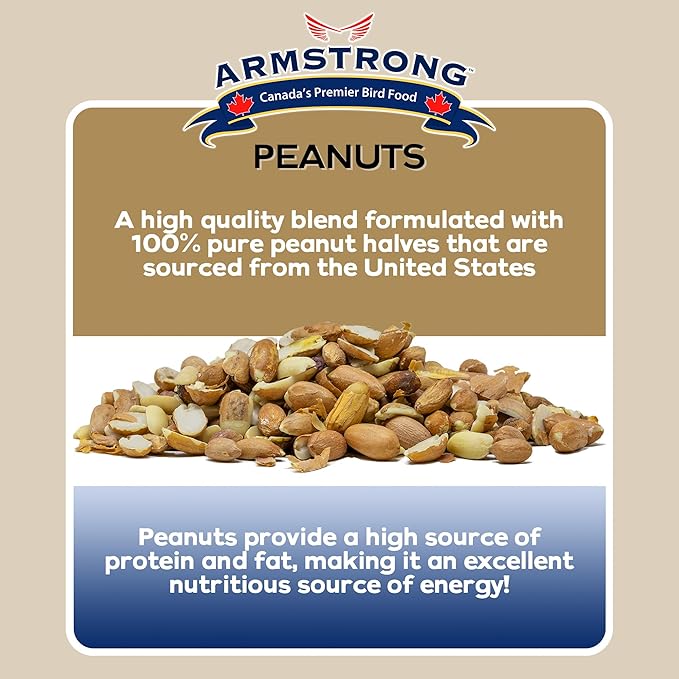 Armstrong Wild Bird Food Shelled Peanut Halves Bird Seed, 8 Pounds - for Downy Woodpeckers, Red-Breasted Nuthatches and Black-Capped Chickadees for Outside Feeders