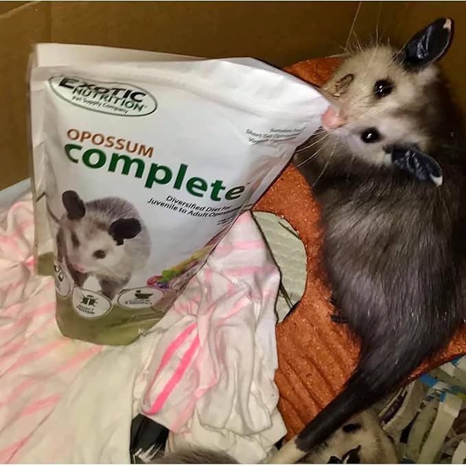 Exotic Nutrition Opossum Complete - Nutritionally Complete Healthy Pellet Diet - Food for Short-Tailed & Virginia Opossums (1 lb.)