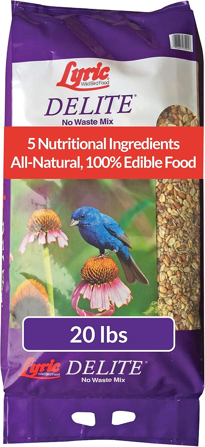 Lyric Delite Wild Bird Seed for Outside Feeders - No Waste Bird Food, Shell-Free Nuts & Seeds Mix, Attracts Buntings, Chickadees & Finches, 20 lb Bag
