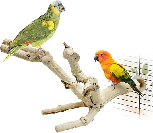 kathson Bird Perch Stand 10"-12" Nature Wood Stand Toy Parrot Cage Branch Paw Grinding Fork Parakeet Platform for Parakeets Cockatiels Conures Finches Love Birds（Small）
