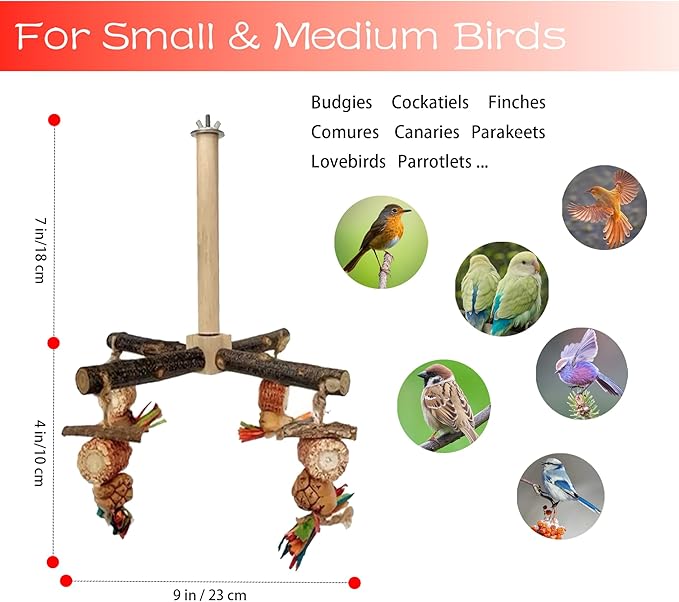 Bird Chew Toys Parrot Rotating Toys, Interactive Bird Cage Toys for Small Medium Birds, Durable Chewing Gnawing Beak Trimming Toys for Parakeet Cockatiel Conure Budgie Lovebird