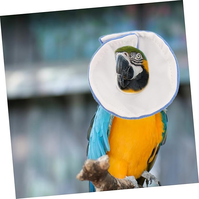 Happyyami Collar Bird Neck Protector for Chicken Plucking Scratch Prevention Easy to Wear Stylish Design