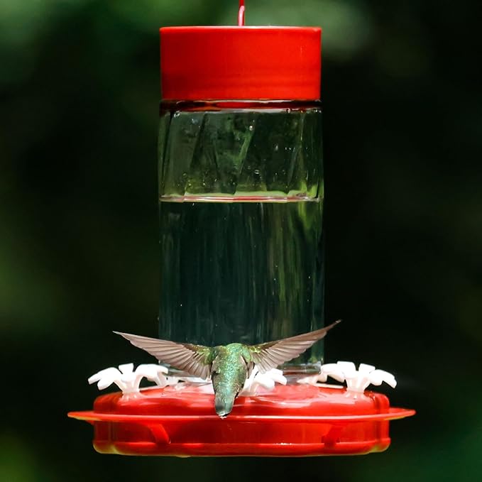 Nature's Way Hanging Glass Hummingbird Feeder for Outdoor Décor, 20 Ounce Capacity Nectar Feeder, Ant Moat, 5 Easy to Clean Flexible Ports, Red