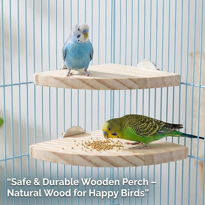 2 Pcs Flat Perches for Bird Cages Flat Bird Perch Platform Birds Perch Birds Cages Accessories Fan Shape for Parakeet Conure Cockatiel Budgie Rat Chinchilla Gerbil Hamster (2 Size)
