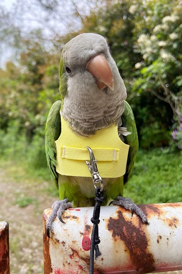 Bird Flight Harness Vest Parrot Flight Suit with Leash for Parakeets Cockatiels Conures Budgies, Bird Flying Clothes with Rope and Handle for Outdoor Activities Training (2M,Yellow)