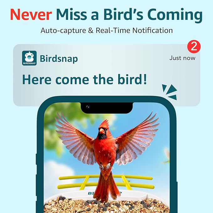 birdsnap® TUC Bird Feeder with Camera 2K HD Live with 32GB Card Auto Detect & Notify AI Identify Camera Birds Feeders Solar Powered Wireless Outdoors Backyard Gift for Mom Dad Birds Lover, 2.4G WiFi