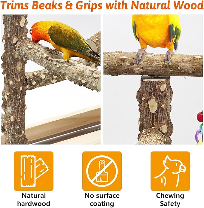 BNOSDM Natural Wood Bird Playground for Training & Playing, Parrot Perch Stand Jungle Gym with Detachable Tray & Stainless Feeder Cups Parakeet Cage Playstand for Budgie, Cockatiel, African Grey