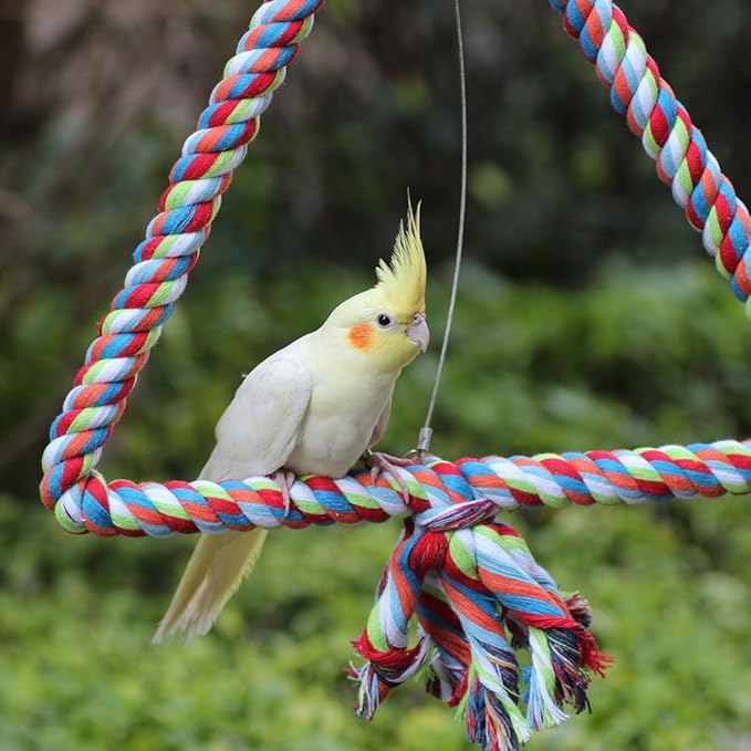 KinTor Medium Triangle Rope Swing Bird Toy Parrot Cage Toys Cages Conure African Grey