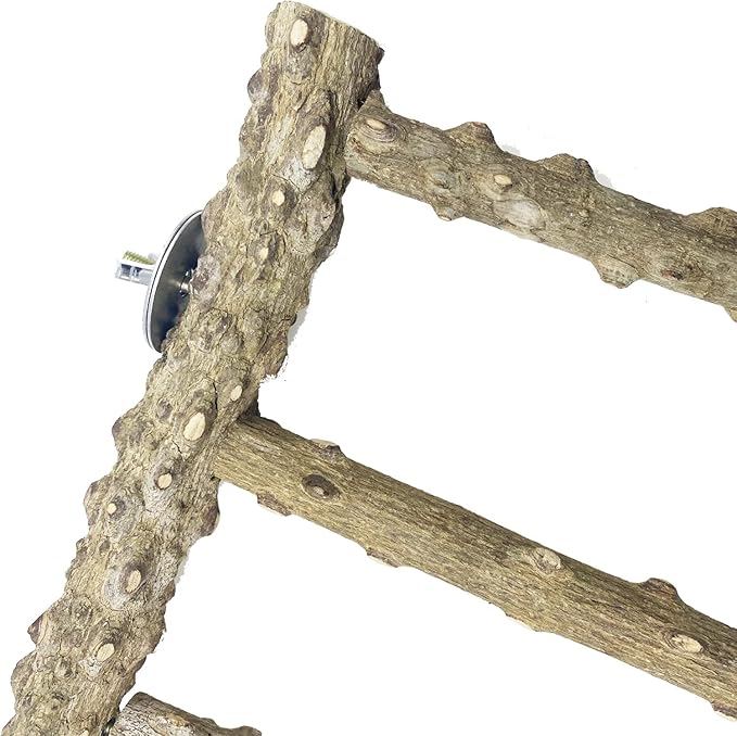 3 PCS Nature Wood Bird Ladder Perch Nature Wood Stand Parrot Chew Toy Cage Hanging Pet Cage Bird Climbing Step Ladders for Small Animal