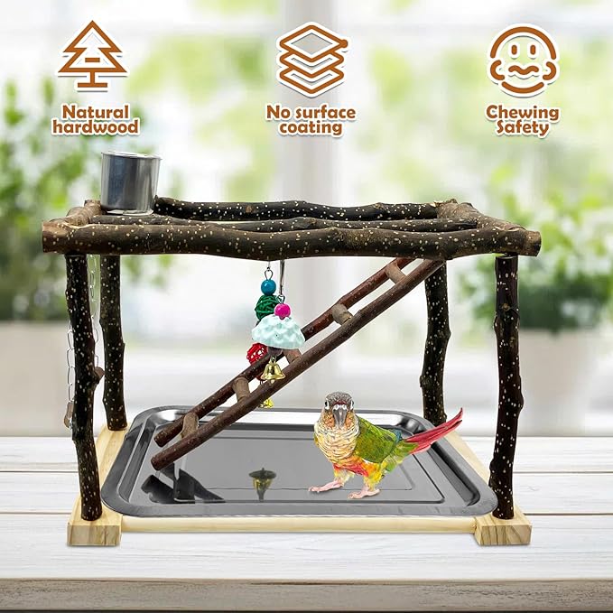 Tfwadmx Parrots Playstand Bird Play Gym Cockatiel Playground Wood Perch Stand Climb Swing Ladders Chewing Toys with Feeding Cups Exercise Activity Center for Conure Cockatiel Lovebirds
