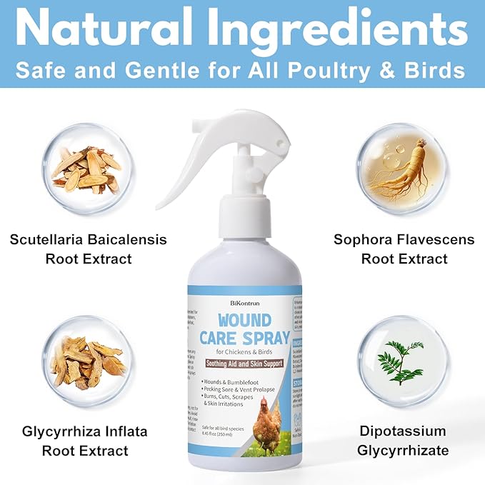 Chickens Wound Spray, Poultry Wounds Spray for Bumblefoot, Vent Prolapse, Pecking Sore, Burns & Skin Irritations, Chicken Care, Natural Herbal Formula, 8.45 Fl Oz (250ML)