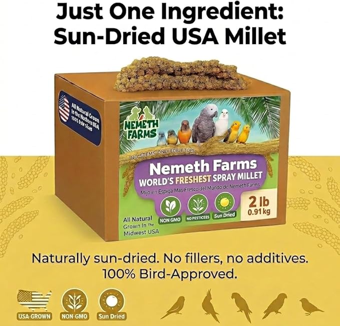 Nemeth Farms Spray Millet - Edible Tops Only, Non-GMO and Sun-Dried - 2 lbs for Cockatiels, Lovebirds and Budgies