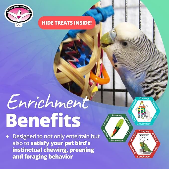 Super Bird Creations SB573 Basket Case Bird Toy - Ringnecks, Cockatiels, Parakeets, Parrots - Foraging Bird Toy with Colorful Paper Shred, Vine Stars, & Wooden Beads - for Medium Bird Size - 10" x 4"