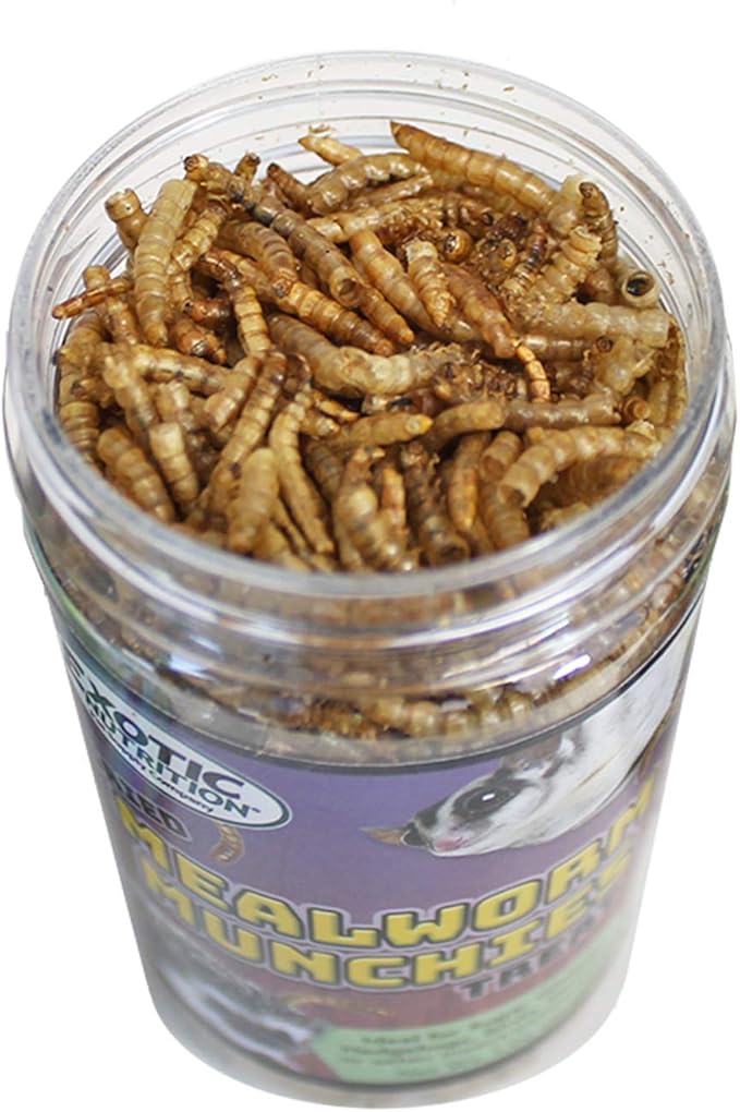 Mealworm Munchies (3.8 oz.) - All Natural Healthy High Protein Insect Treat - Chickens, Birds, Hedgehogs, Bluebirds, Reptiles, Sugar Gliders, Opossums, Skunks, Lizards, Fish, Turtles, Amphibians