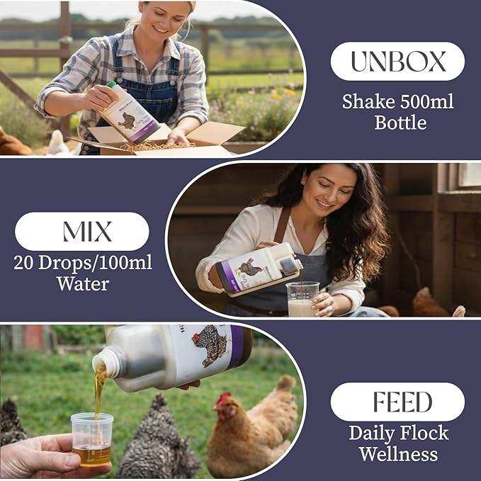 Hilton Herbs Daily Hen Health Herbal Health Supplement for Poultry & Birds, 1.05 pt ( 500ml) Bottle