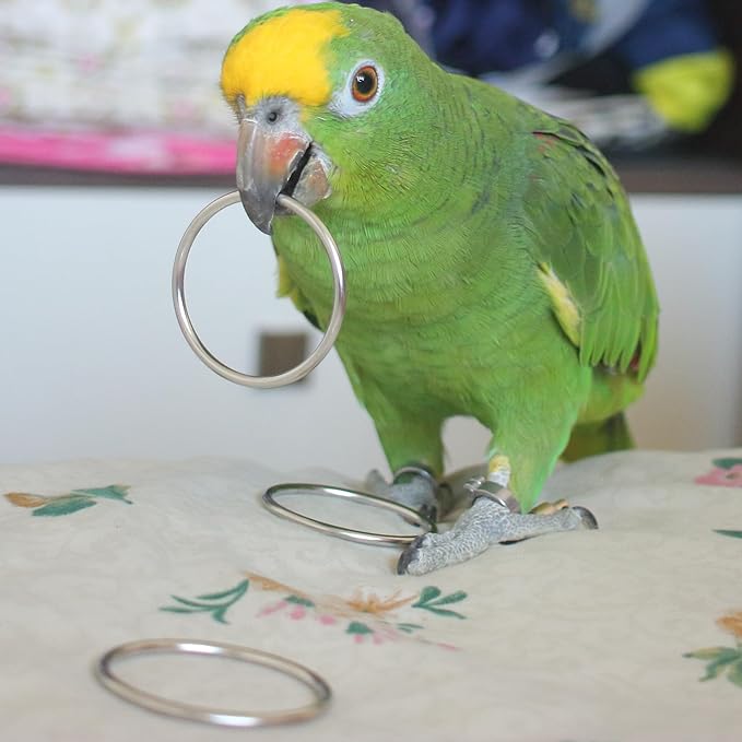 Fosrion Stainless Steel Parrot Ring Toss Toy, Interactive Training & Enrichment Toy for Parrots – Bite-Proof, Anxiety Relief, Exercise Fun for All Kinds of Parrot (Large)